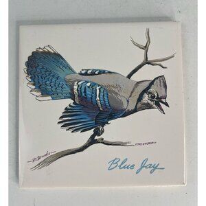 Blue Jay 6" x 6" Screen Craft tile